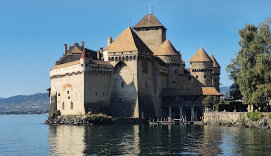 Weed in Montreu, Switzerland (2026)