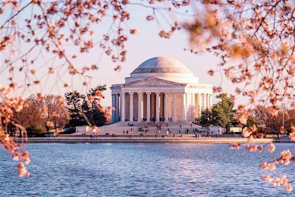 how to get cannabis/marijuana in DC Where to get weed in washington DC https://guidemetocannabis.com/