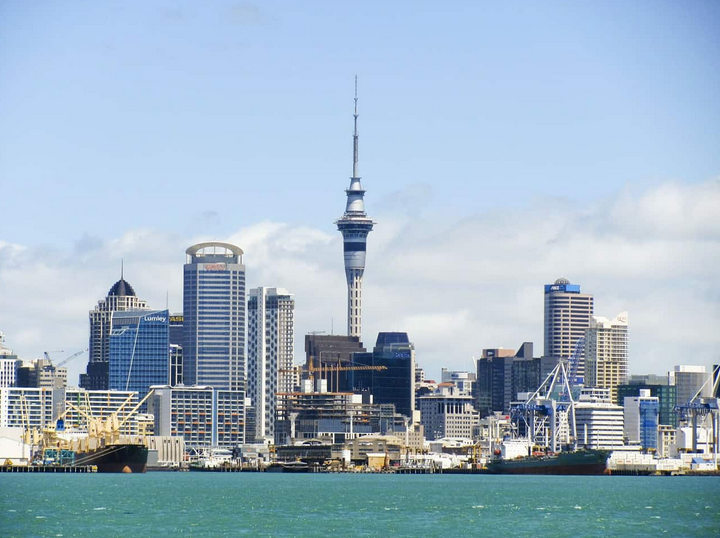 Cannabis laws in New Zealand cannabis in auckland weed in auckland marijuana in auckland