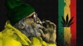 Best Weed Delivery Tips (March 2026)