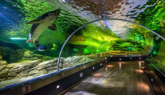 Where to Get Weed in klaipeda get cannabis in klaipeda https://guidemetocannabis.com/